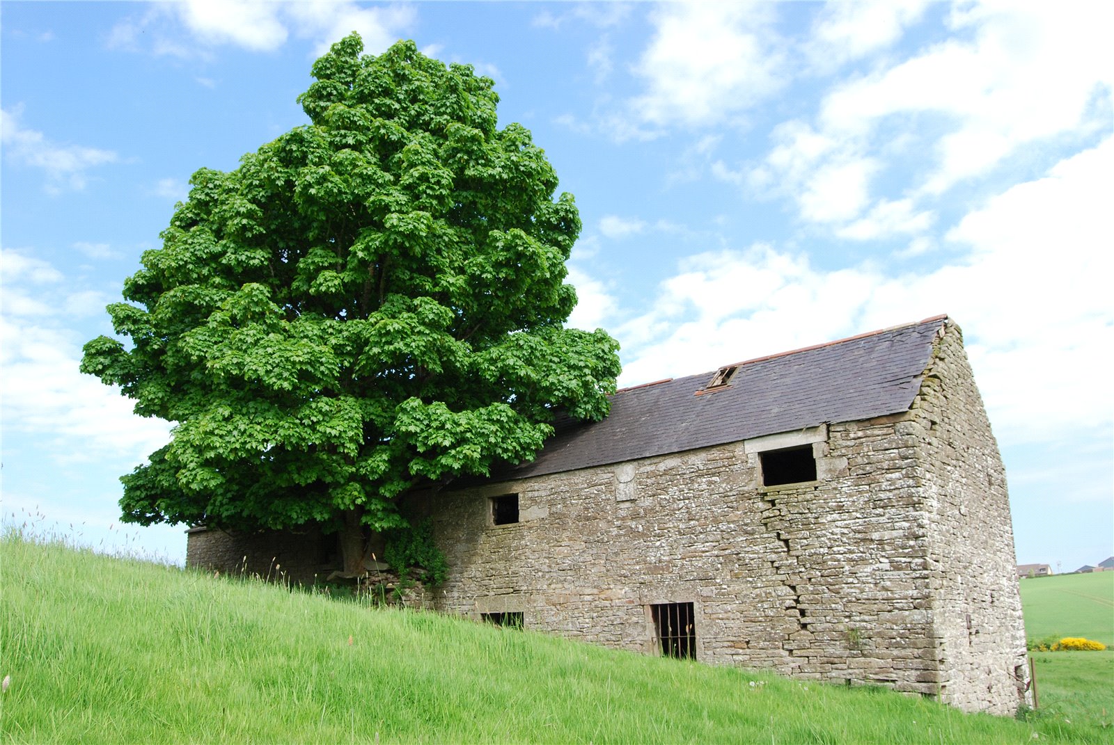 Craichie Mill Plot