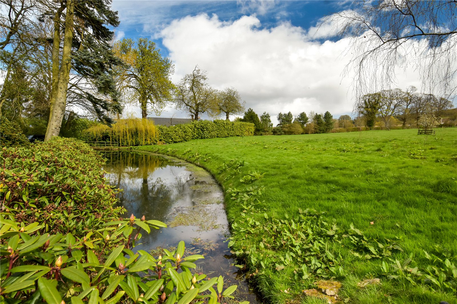 Pond & Field