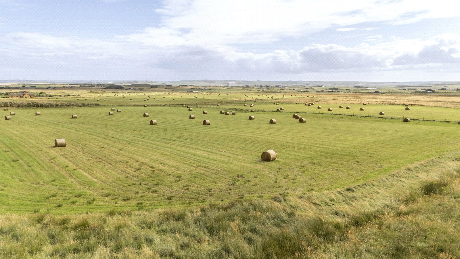 Glenburnie Farm