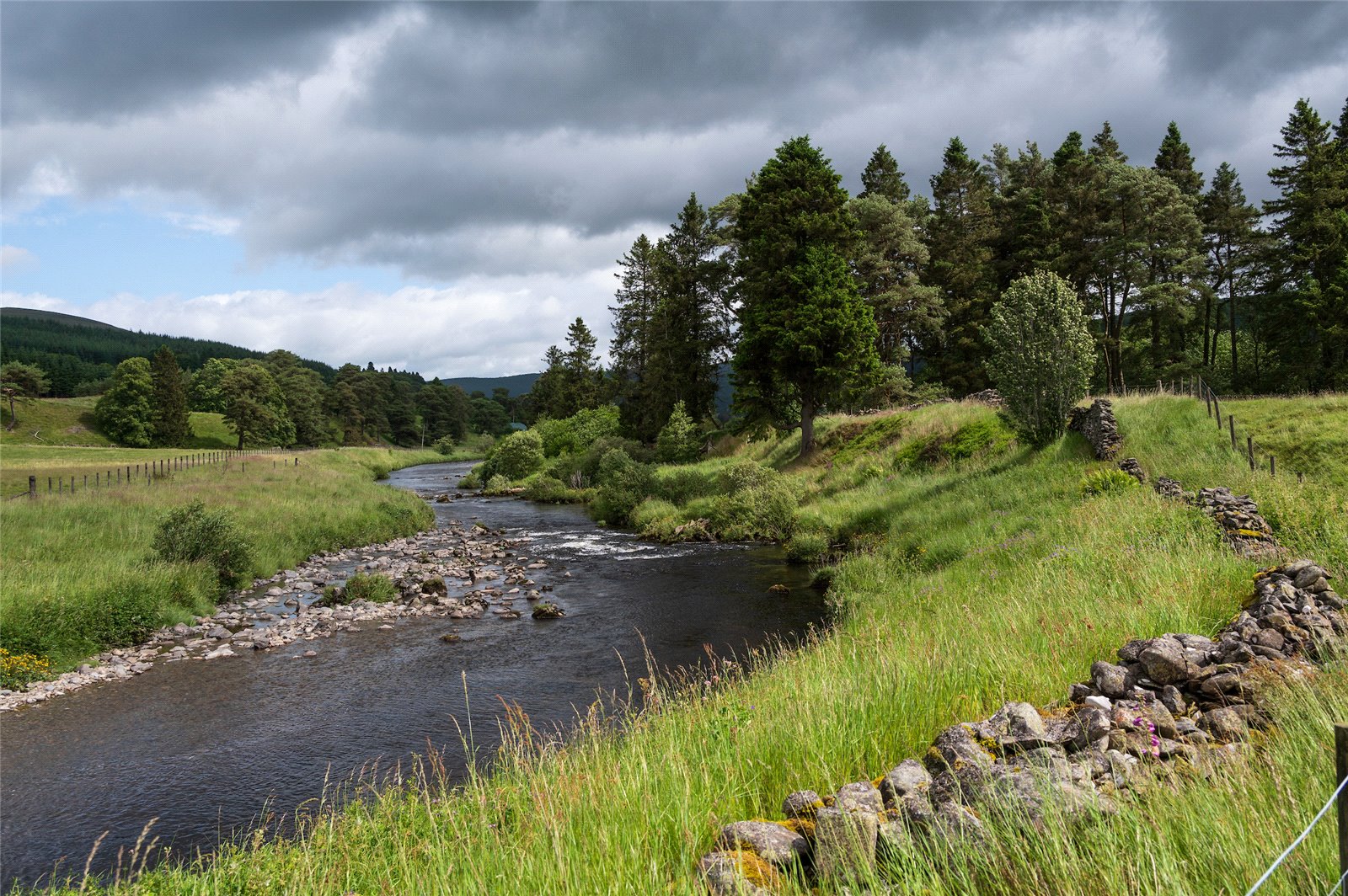 Lot 3 River Bank