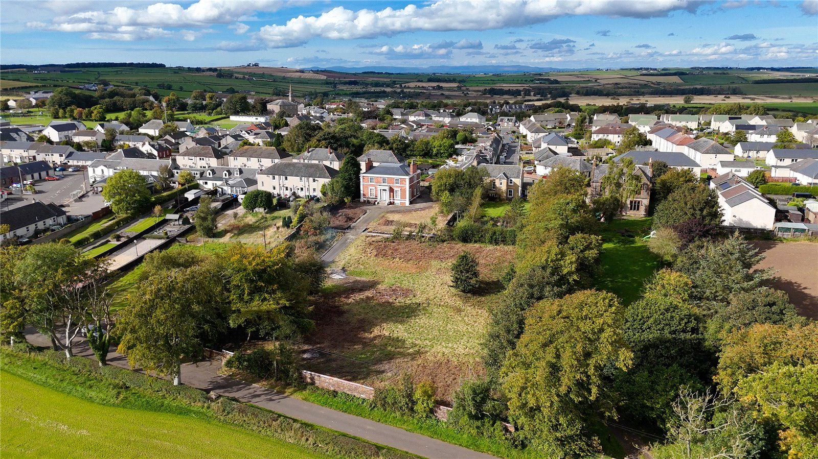 Daisy Bank Plots