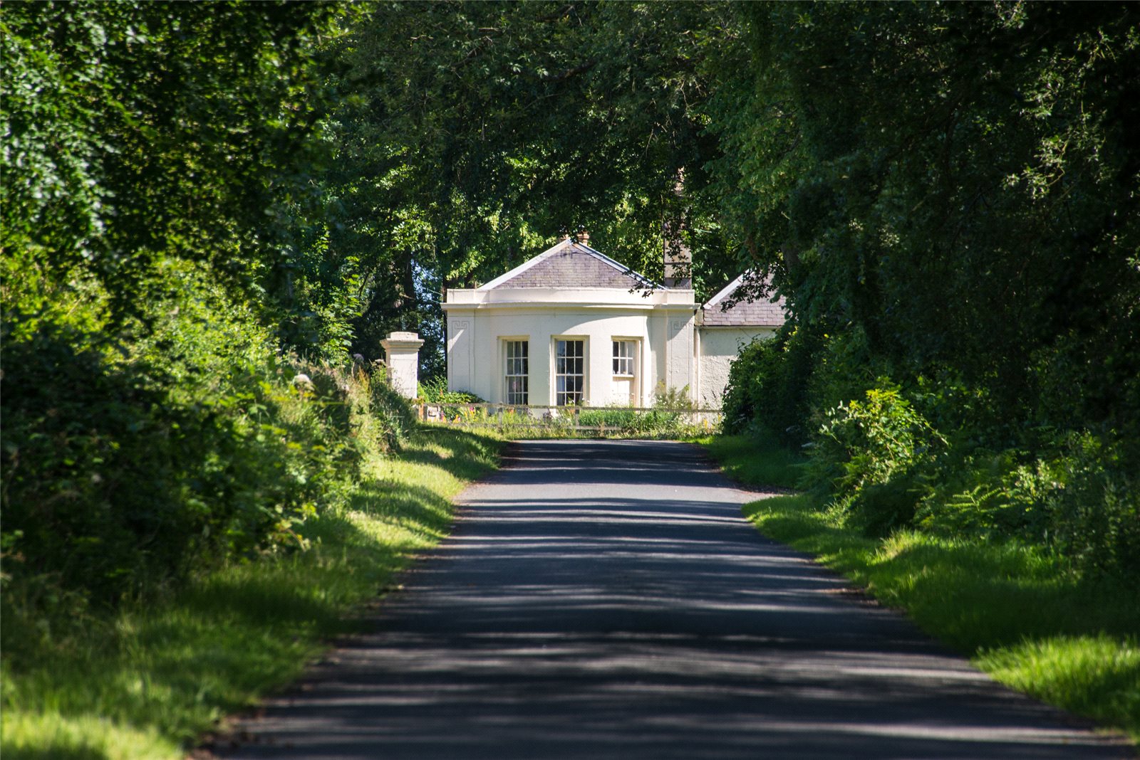 Driveway