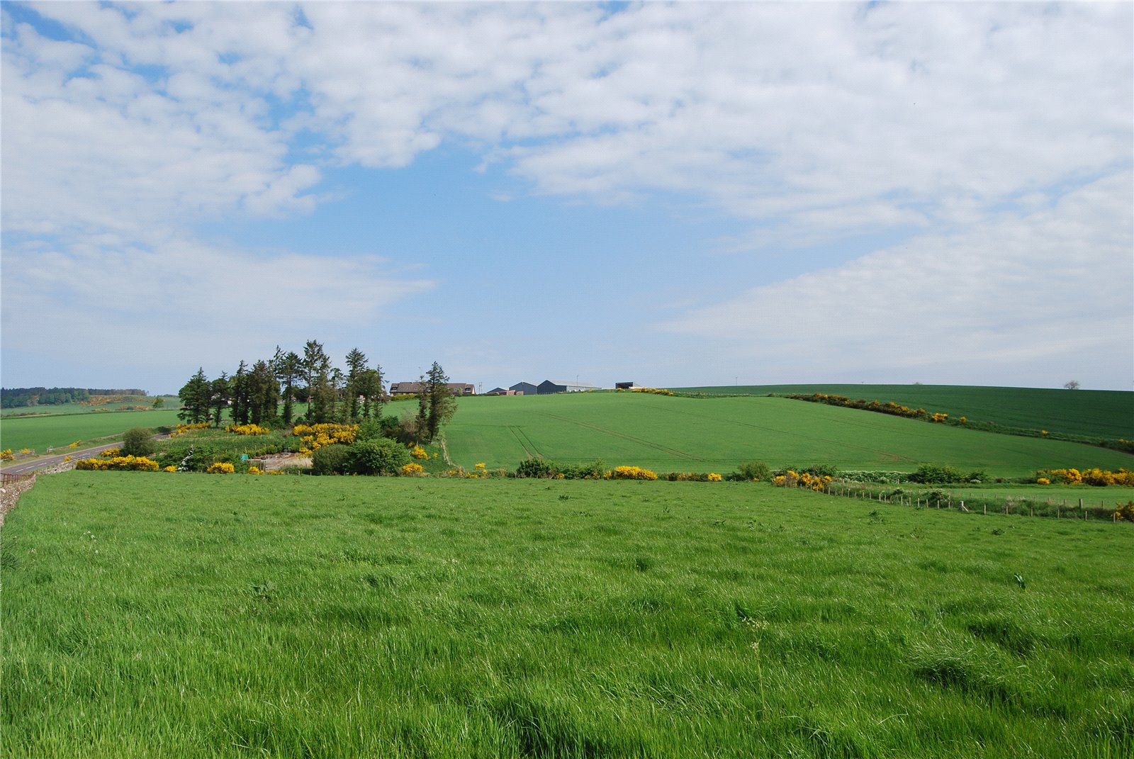 Craichie Mill Plot