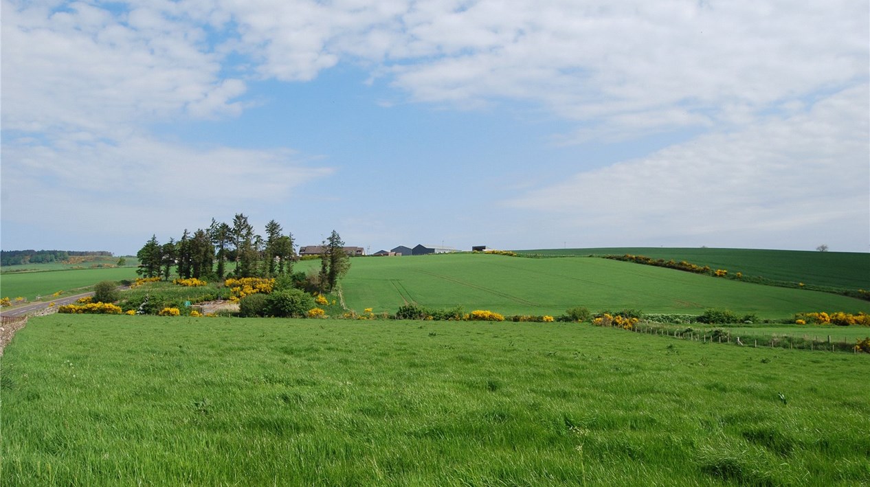 Craichie Mill Plot