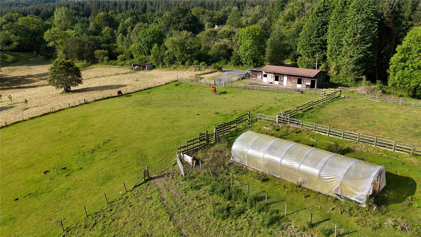 Polytunnel