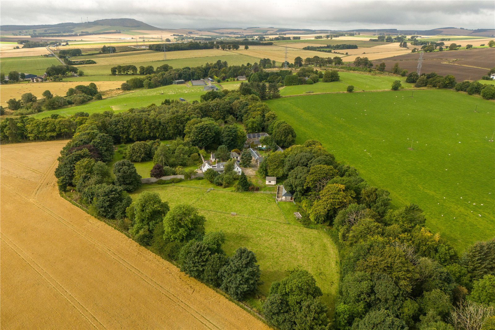 Aerial Image