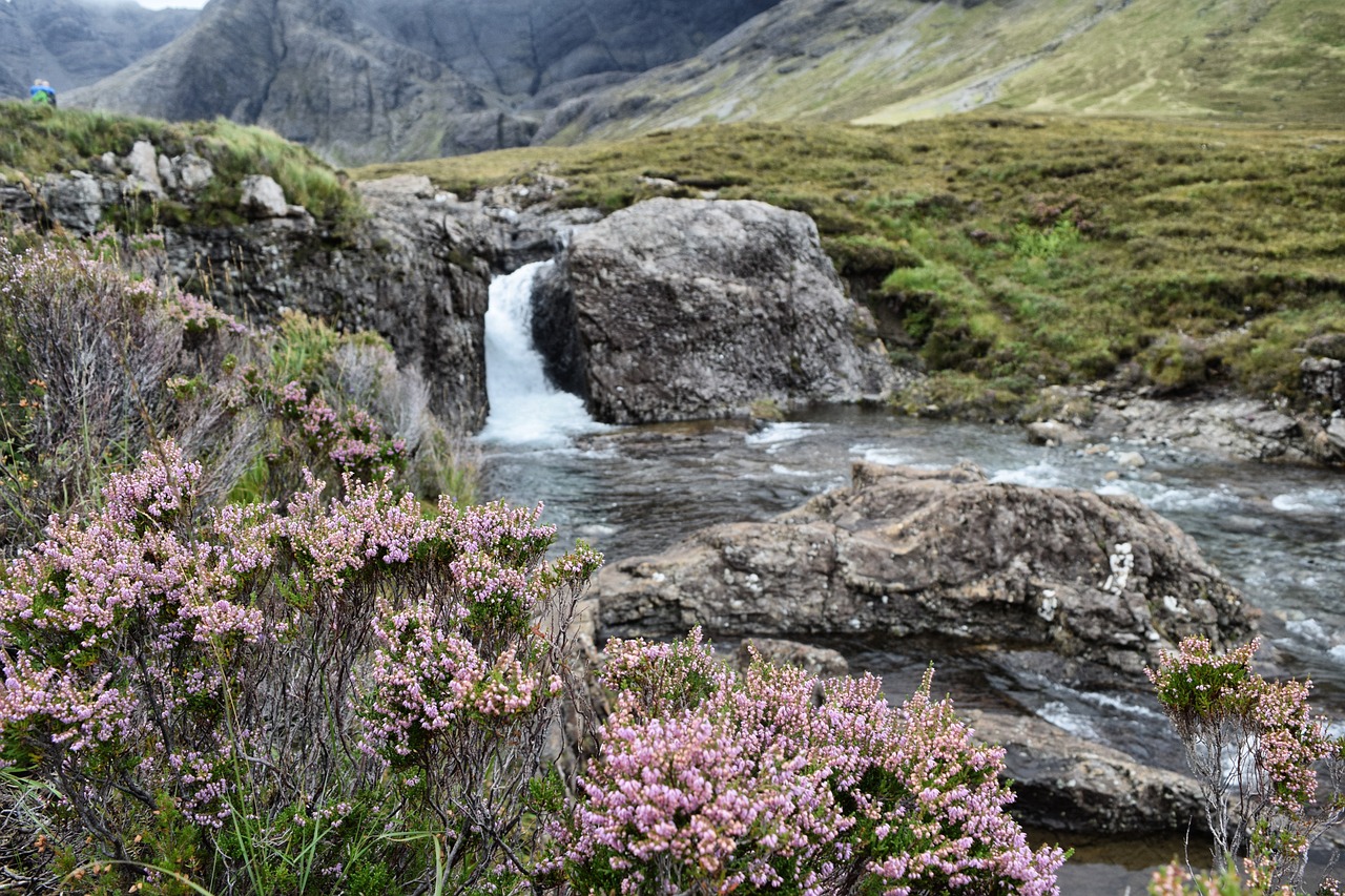 Natural Capital update | Rose Nash 