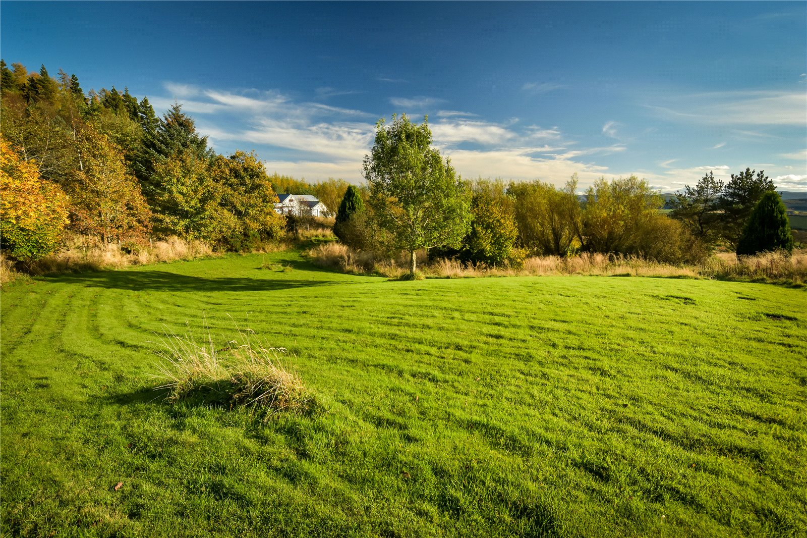 Garden Ground