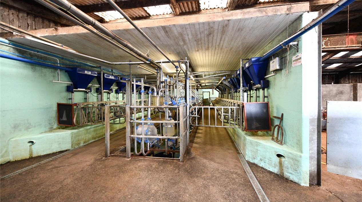 Dairy Facilities