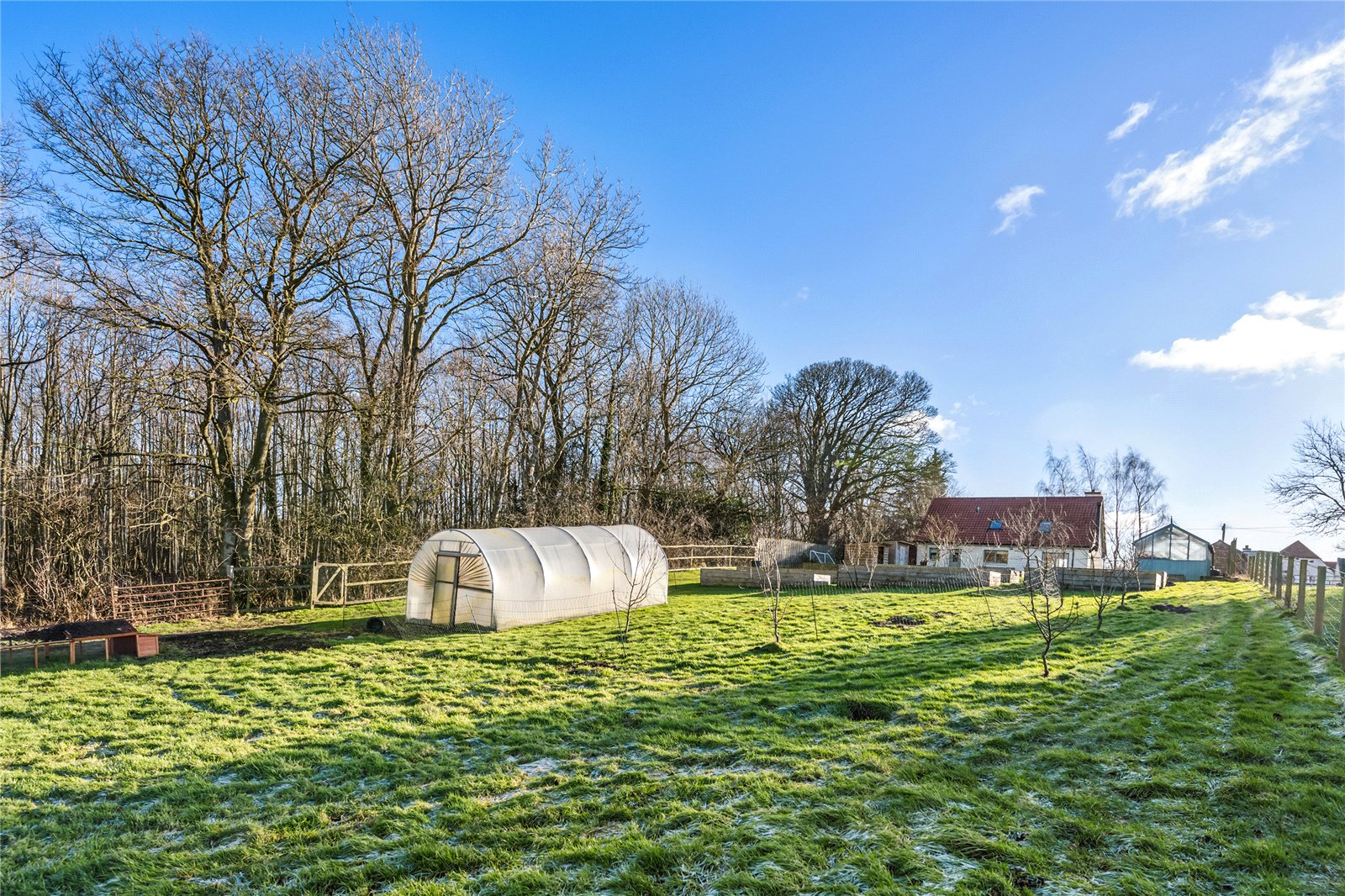 Polytunnel