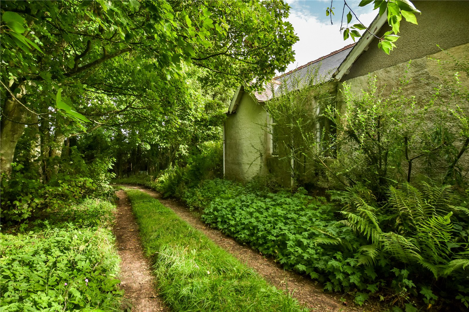 Driveway