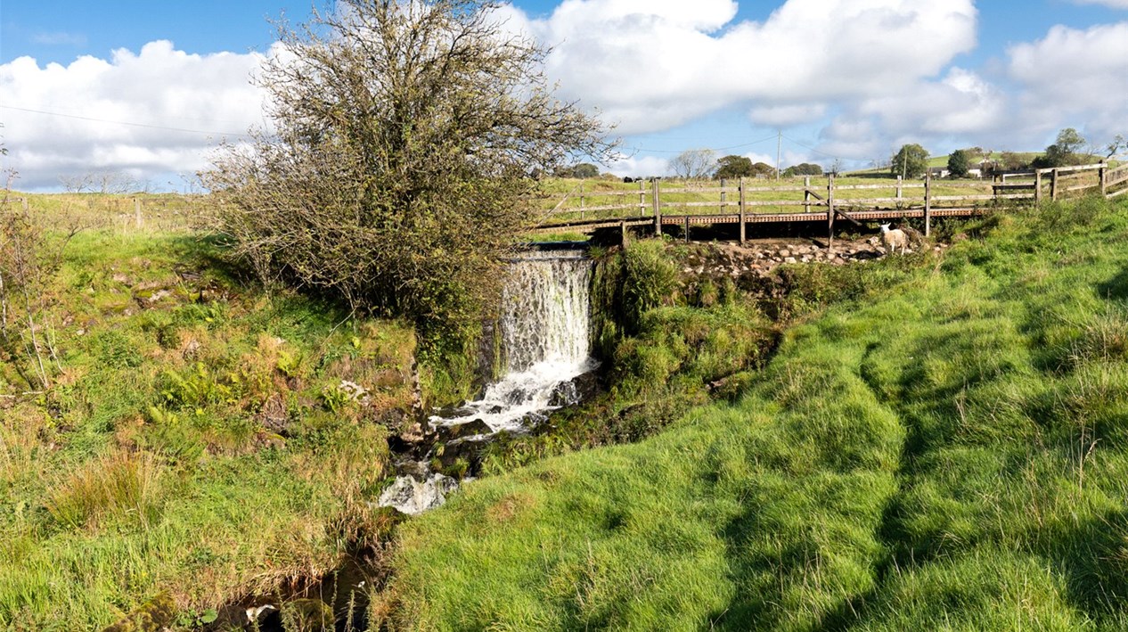 Waterfall