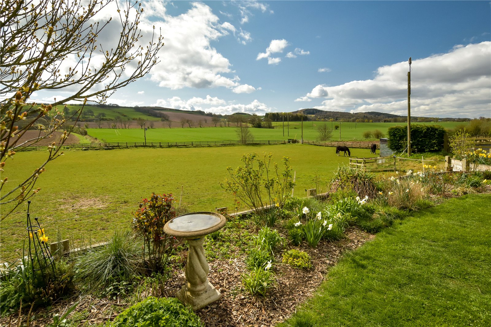 Garden and Paddock