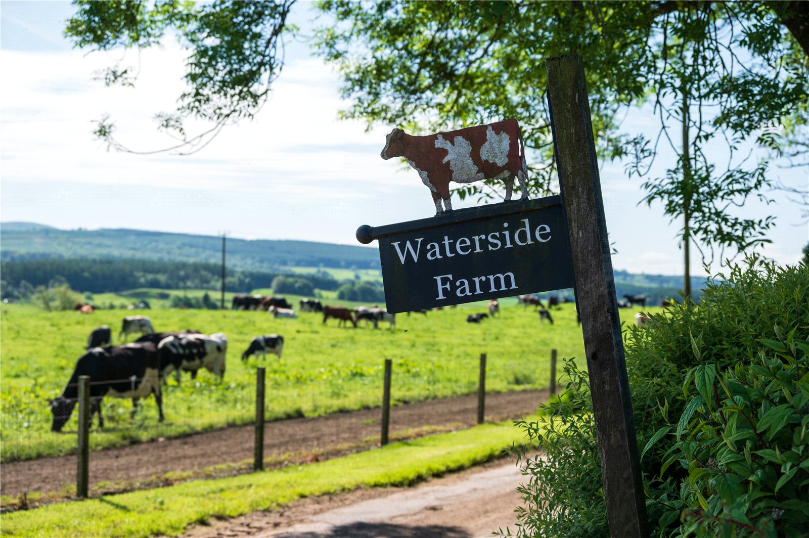 Waterside Farm