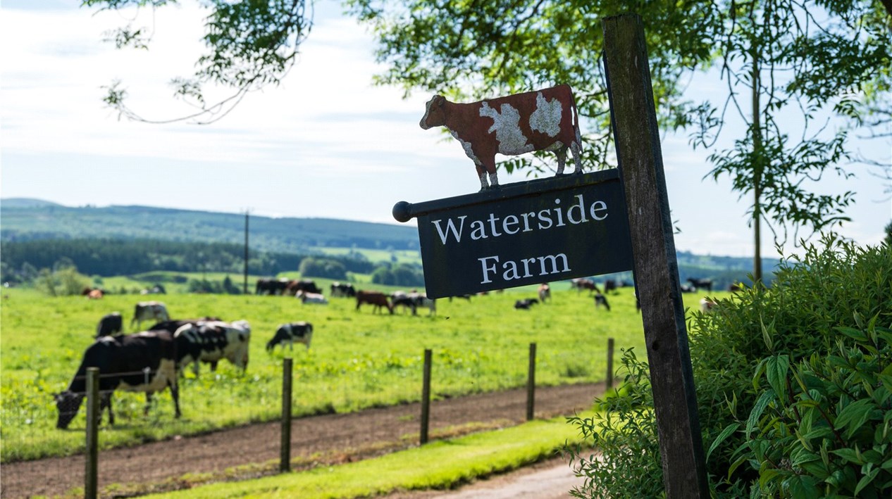 Waterside Farm