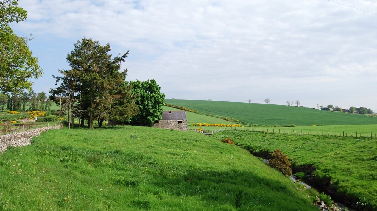 Craichie Mill Plot