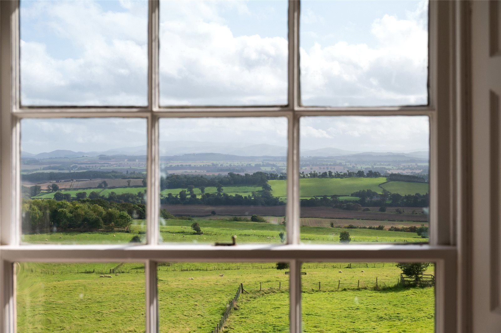 View From Window