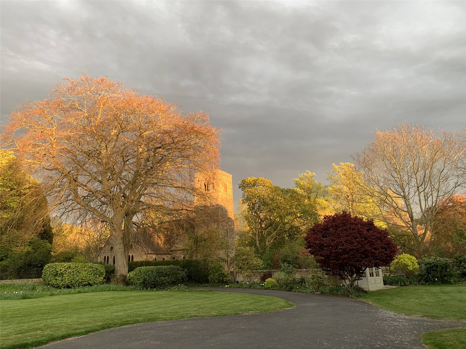 Autumn View