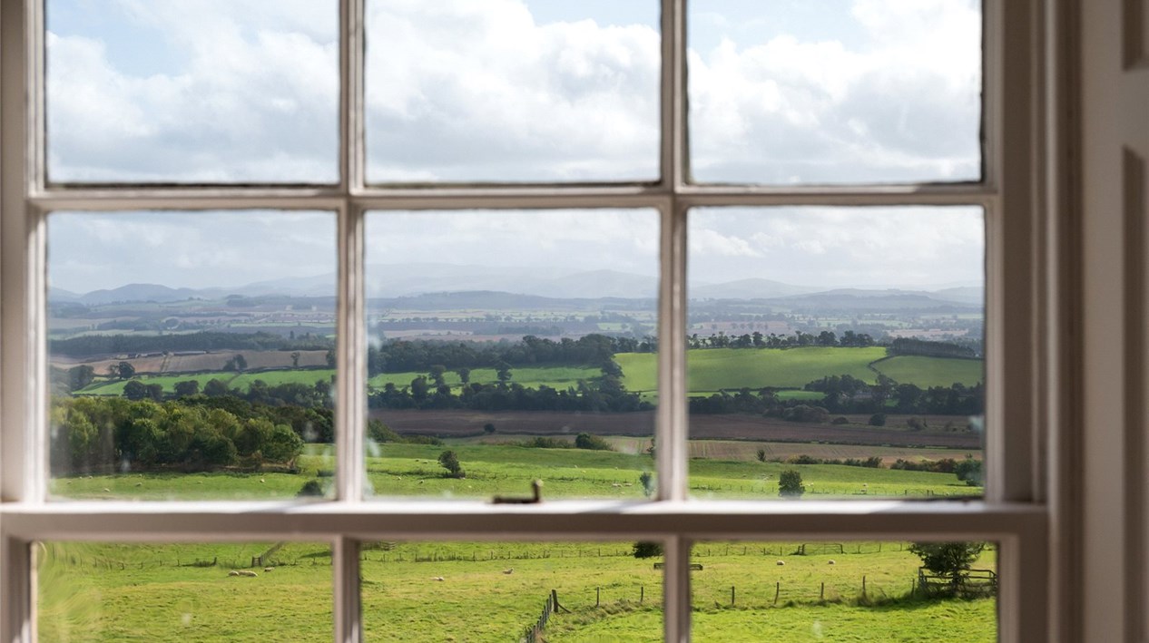 View From Window