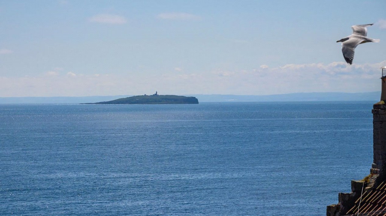View Of Isle Of May